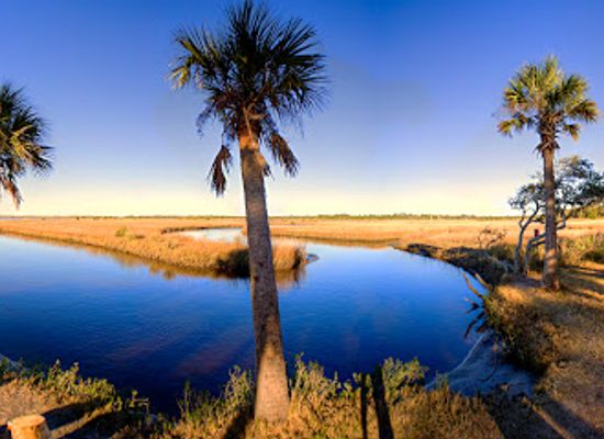 florida/first-coast/attraction/princess-place-preserve