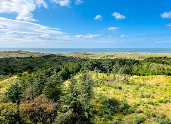 denmark/thy-national-park/attraction/cold-hawaii