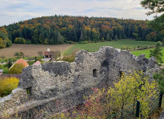 germany/upper-palatinate/attraction/burgruine-lichtenegg