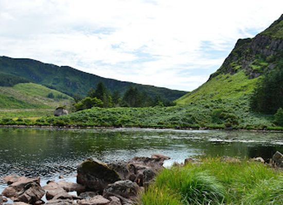 ireland/dingle-peninsula/attraction/glanteenassig-forest-park