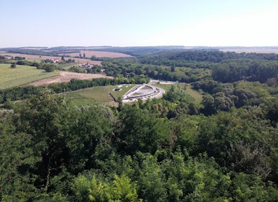 hungary/southern-transdanubia/attraction/somogyvari-kupavar-hegy-termeszetvedelmi-terulet