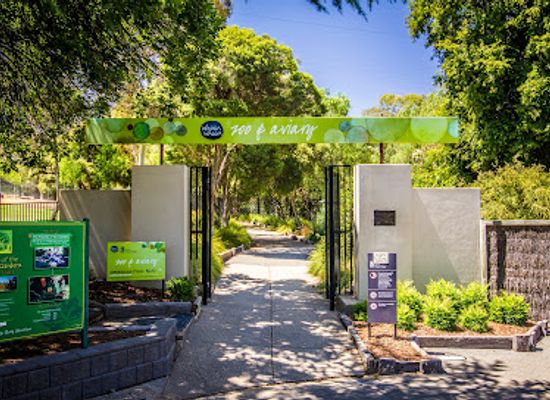 australia/riverina/attraction/wagga-wagga-zoo-aviary