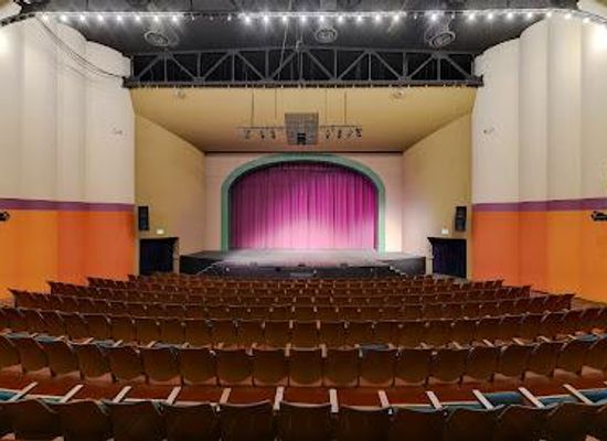 texas/south-texas/attraction/magik-theatre
