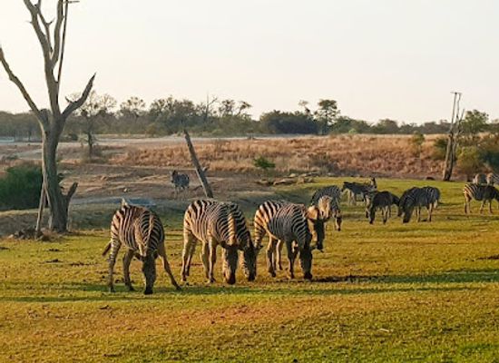 zimbabwe/gweru/attraction/antelope-park