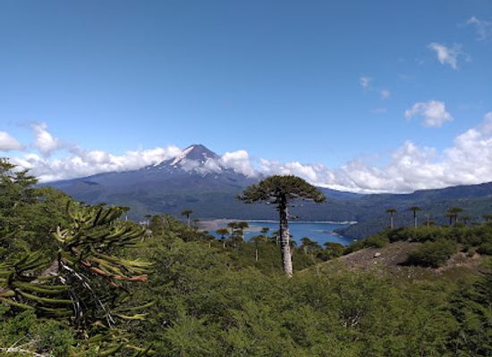 chile/araucania-region/attraction/sendero-sierra-nevada