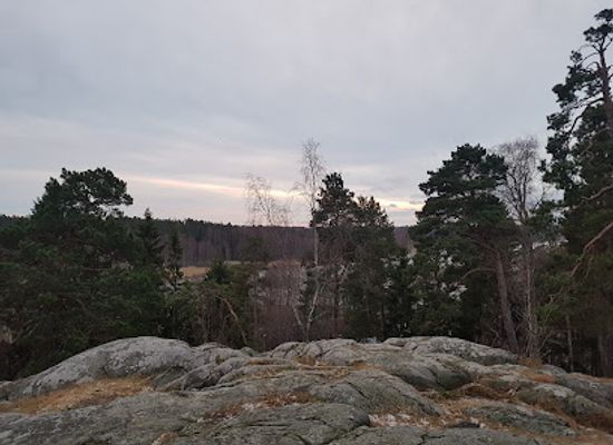 finland/uusimaa/attraction/vartiokyla-hillfort