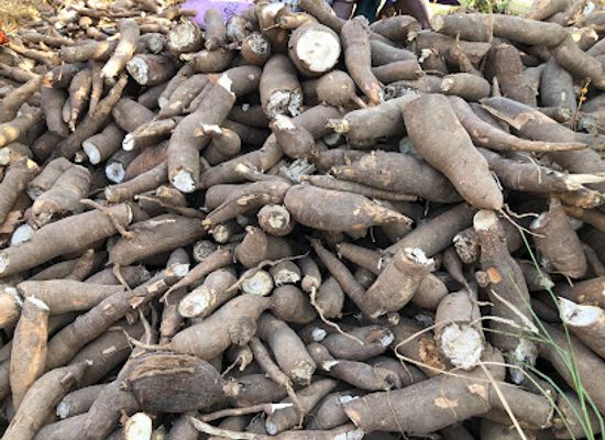 the-gambia/kombo-south/attraction/tanji-womens-gardens