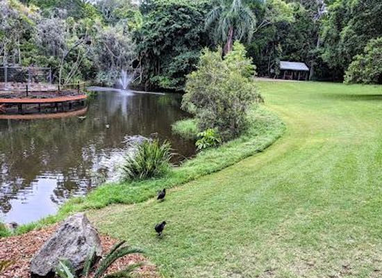 australia/fraser-island/attraction/hervey-bay-botanic-gardens