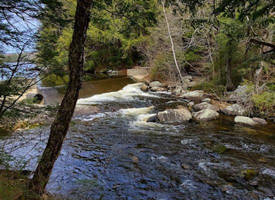 vermont/caledonia-county/attraction/ricker-pond-state-park