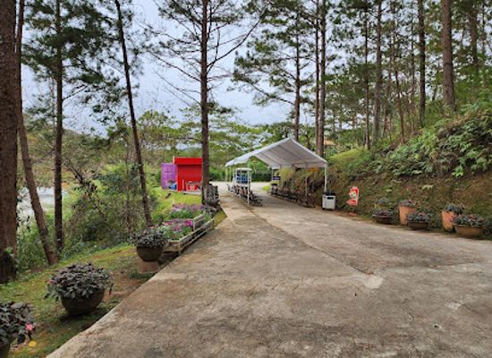 vietnam/da-lat/attraction/dalat-amusement-park
