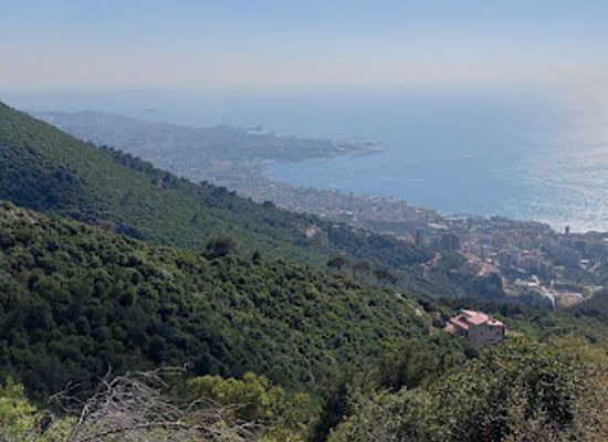 lebanon/kesserwan/attraction/chnaniir-nature-reserve