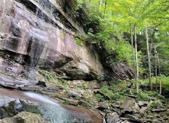 tennessee/great-smoky-mountains/attraction/rainbow-falls-trail