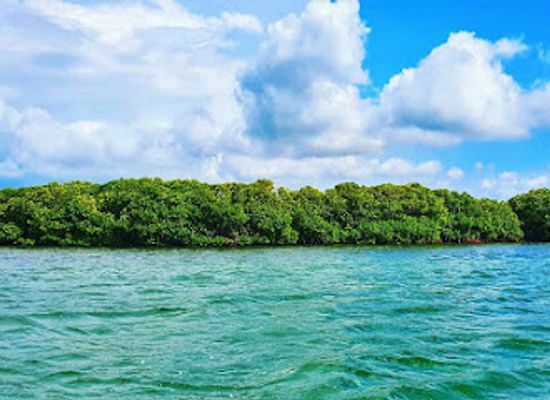 sri-lanka/puttalam-district/attraction/boat-trip-kalpitiya-dolphin-watching