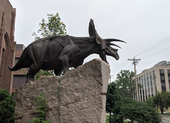 connecticut/new-haven-harbor/attraction/yale-peabody-museum