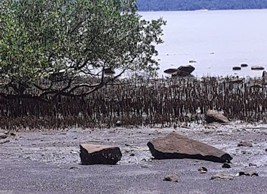 mayotte/plage-de-n-gouja/attraction/gite-de-hagnoundrou-boueni
