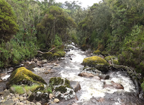 uganda/queen-elizabeth-national-park/attraction/rwenzori-mountains-national-park