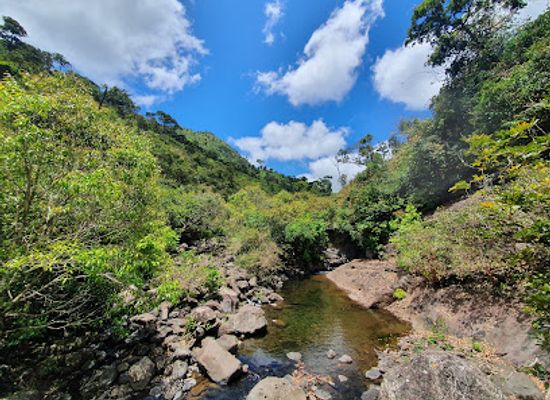 mauritius/black-river-gorges-national-park/attraction/black-river-trail