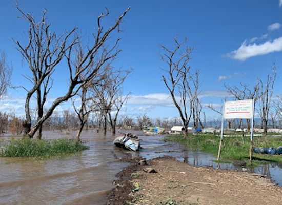 ethiopia/arba-minch/attraction/little-harbour-for-tourist-boats-of-crocodile-watching