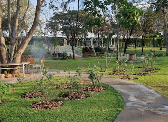 zimbabwe/mashonaland-west/attraction/simunye-gardens