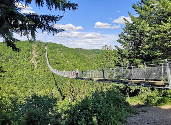 germany/moselle/attraction/geierlay-suspension-bridge