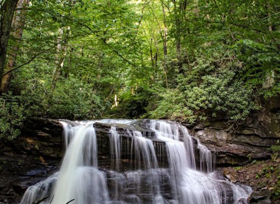 west-virginia/bluefield/attraction/holly-river-state-park