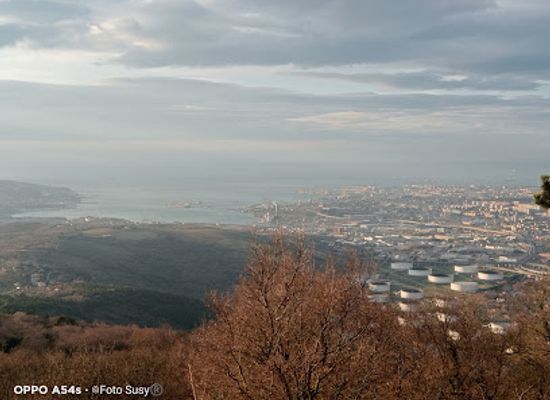 slovenia/coastal-karst/attraction/castello-di-socerb