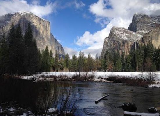 california/yosemite/attraction/photo-safari-yosemite