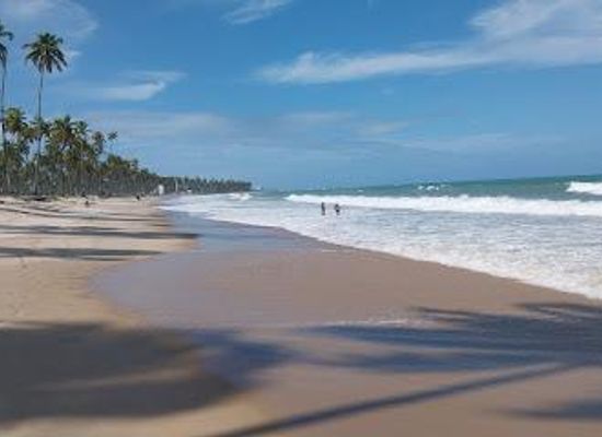 brazil/agreste/attraction/paiva-beach