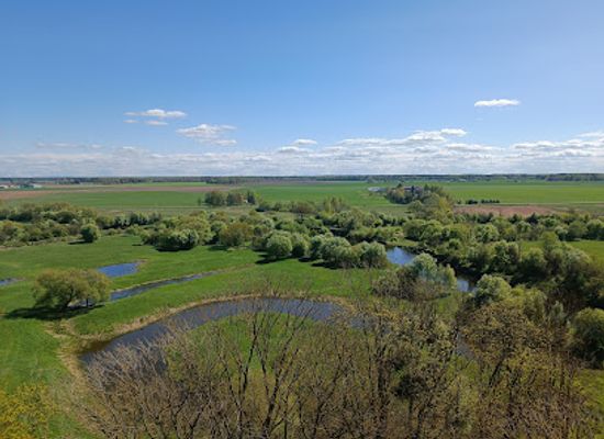 lithuania/aukstaitija/attraction/krekenava-regional-park-observation-tower