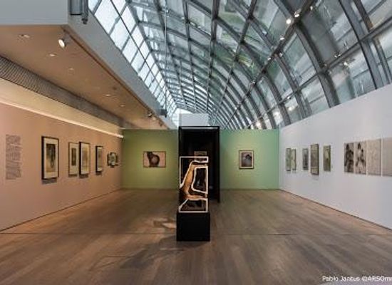 argentina/buenos-aires/attraction/amalia-lacroze-de-fortabat-art-collection