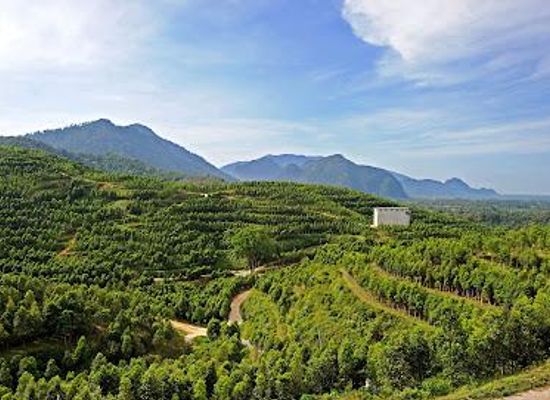 malaysia/cameron-highlands/attraction/hoga-gaharu-tea-valley-gopeng