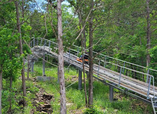 missouri/table-rock-lake/attraction/the-branson-coaster