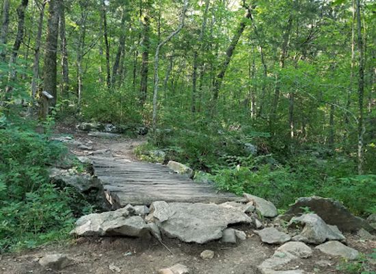 alabama/monte-sano-state-park/attraction/oak-park-trail