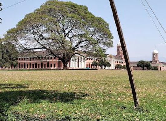 india/north-india/attraction/fri-museum-dehradun