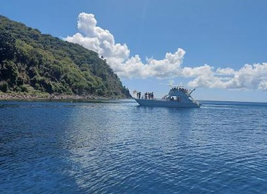 saint-kitts-and-nevis/newcastle/attraction/shitten-bay