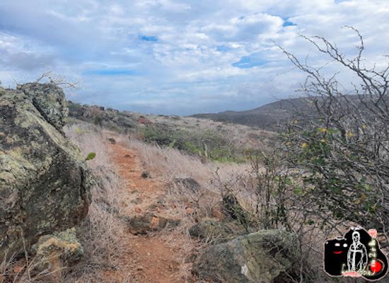 aruba/arikok-national-park/attraction/pajarito-trail