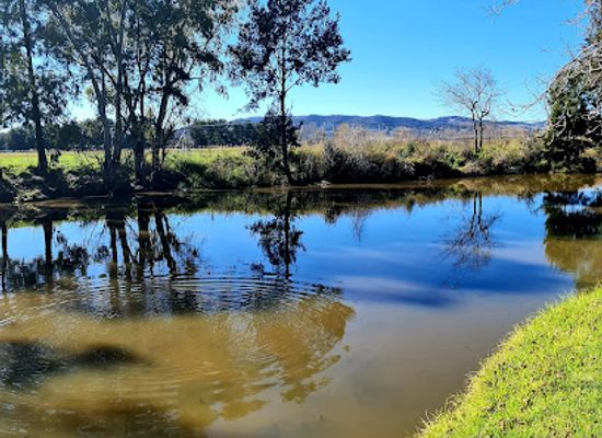 australia/central-west/attraction/lawson-park