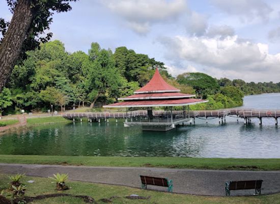 singapore/macritchie-reservoir/attraction/macritchie-reservoir-boardwalk