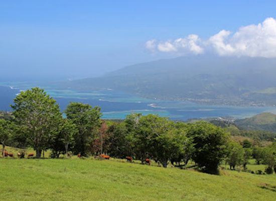 french-polynesia/windward-islands/attraction/belvedere-de-taravao