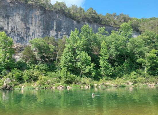 arkansas/arkansas-river-valley/attraction/buffalo-national-river