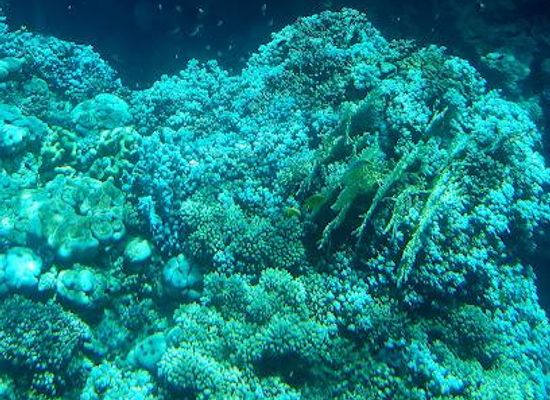 egypt/dahab/attraction/port-w-dahab