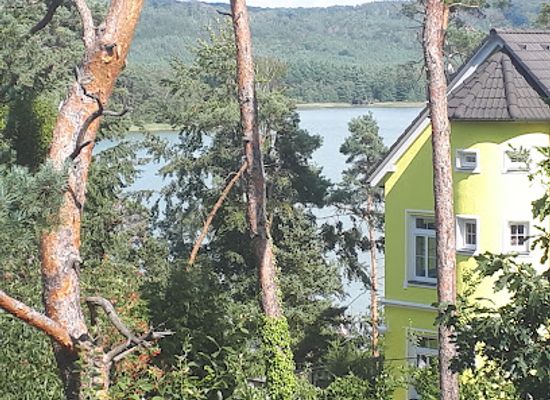 czechia/machovo-jezero/attraction/ringoland