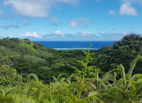 cook-islands/nikao/attraction/wigmore-s-waterfall