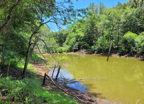 texas/east-texas/attraction/caddo-mounds-state-historic-site