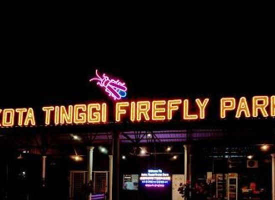 singapore/sembawang/attraction/kota-tinggi-firefly-park