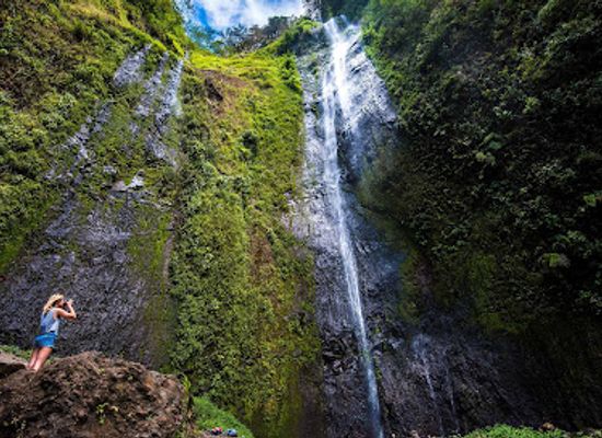 nicaragua/ometepe-island/attraction/reserva-de-biosfera-ometepe