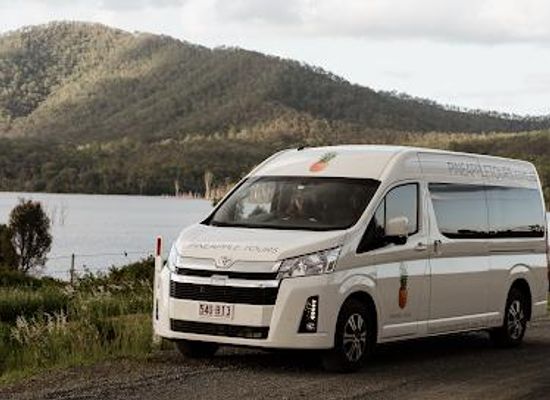 australia/surfers-paradise/attraction/pineapple-tours