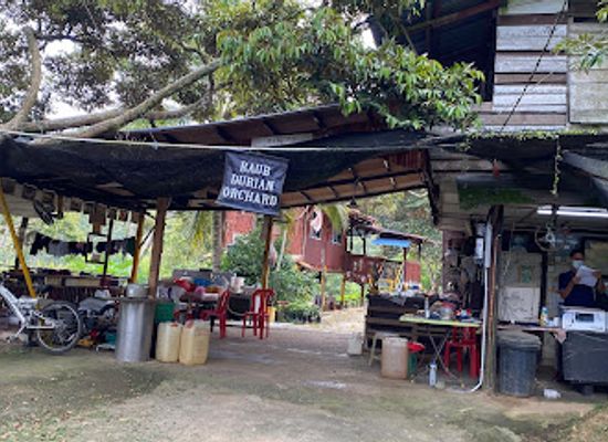 malaysia/pahang/attraction/raub-durian-orchard