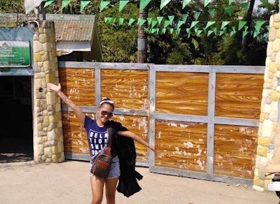 philippines/cebu/attraction/crocolandia