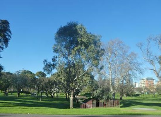 australia/adelaide/attraction/adelaide-parklands